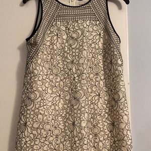 Ann Taylor Loft Lace Dress